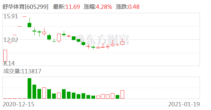 舒华体育605299龙虎榜数据0119