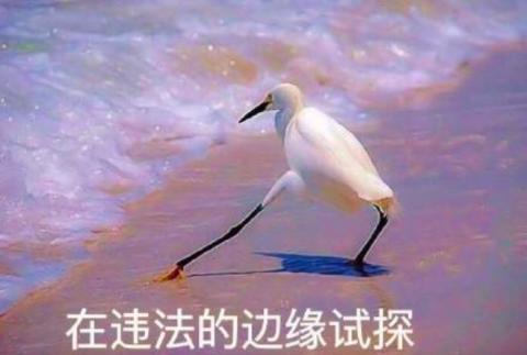 中央政法委长安剑点名郑爽代孕弃养风波:钻法律空子 这绝不是无辜