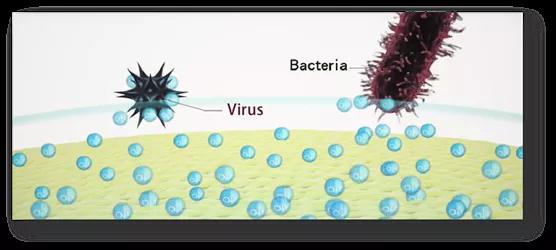 ▲液态长效抗菌抗病毒型纳米材料
