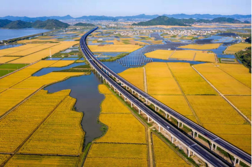 宁海县长街镇秋粮丰收.