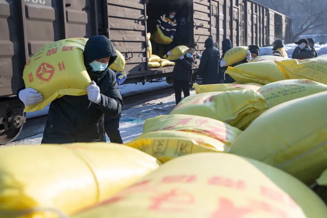 &nbsp;图为工人在绥化火车站一货场进行化肥卸车.