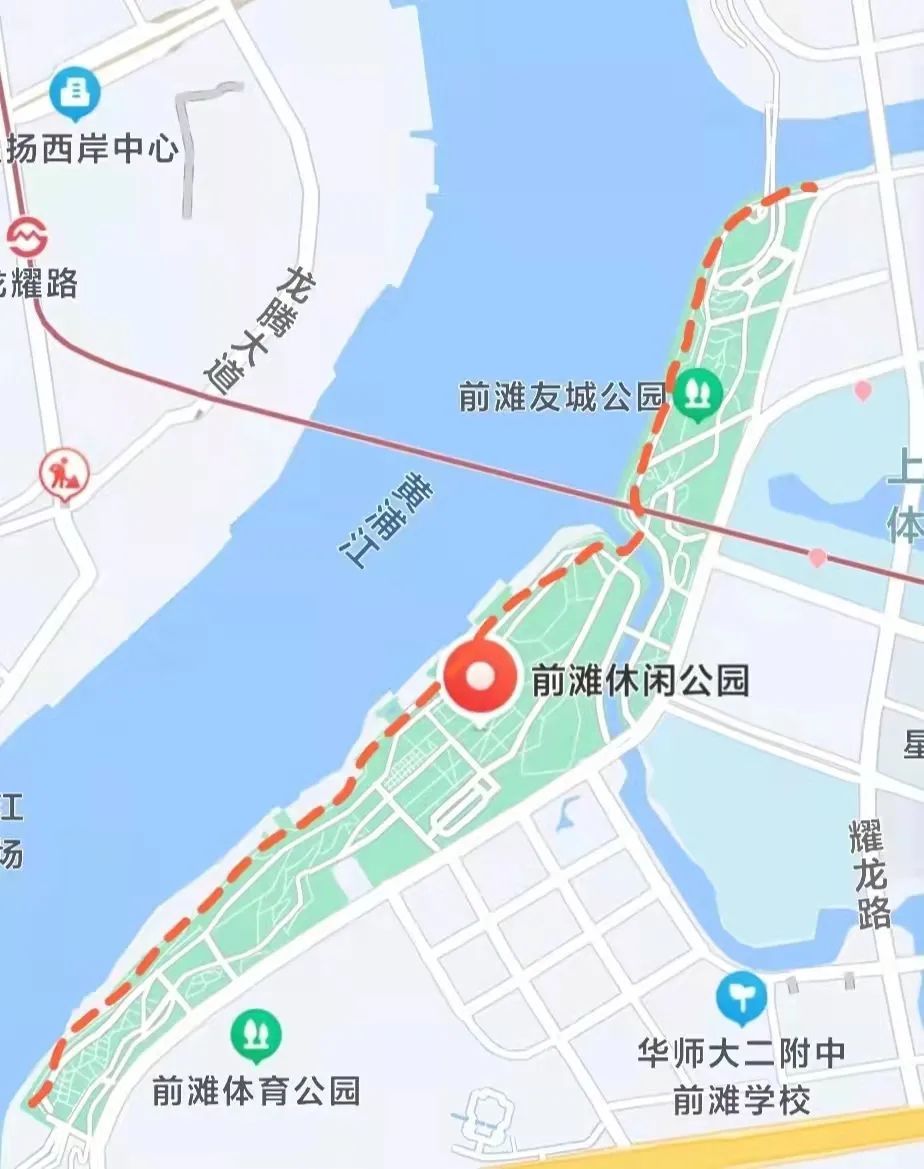 浦东滨江沿岸的乌桕jiù换装啦附打卡点位