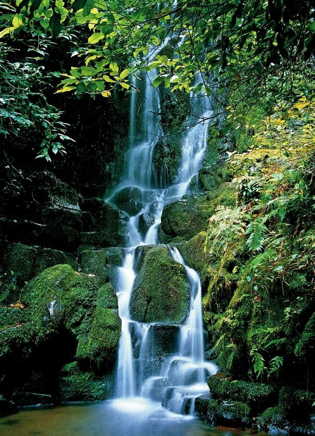 楚雄市紫溪山 朱永先 摄