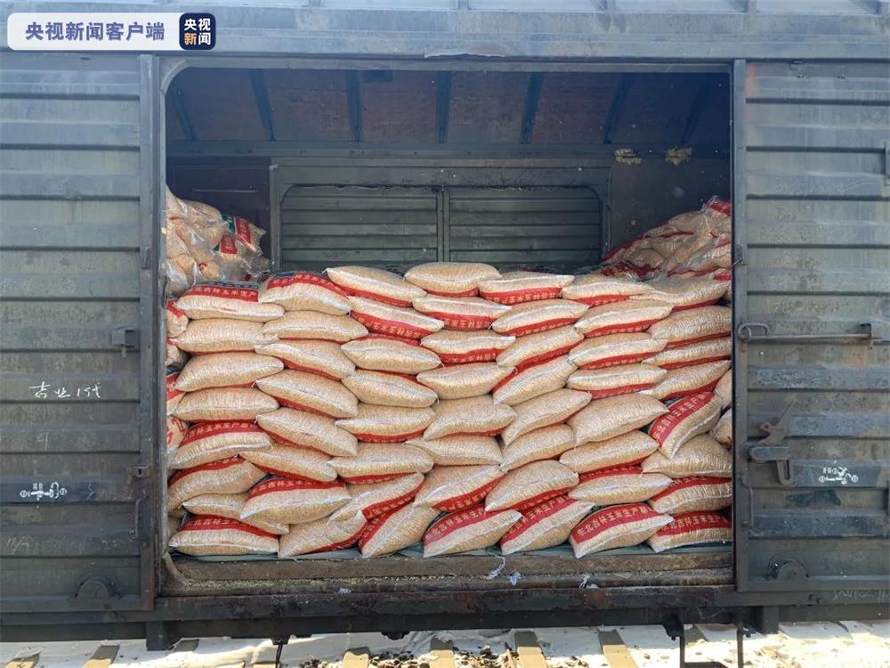 畅通北粮南运大通道沈铁11月以来发运粮食415万吨