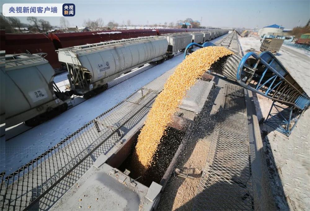 畅通北粮南运大通道沈铁11月以来发运粮食415万吨