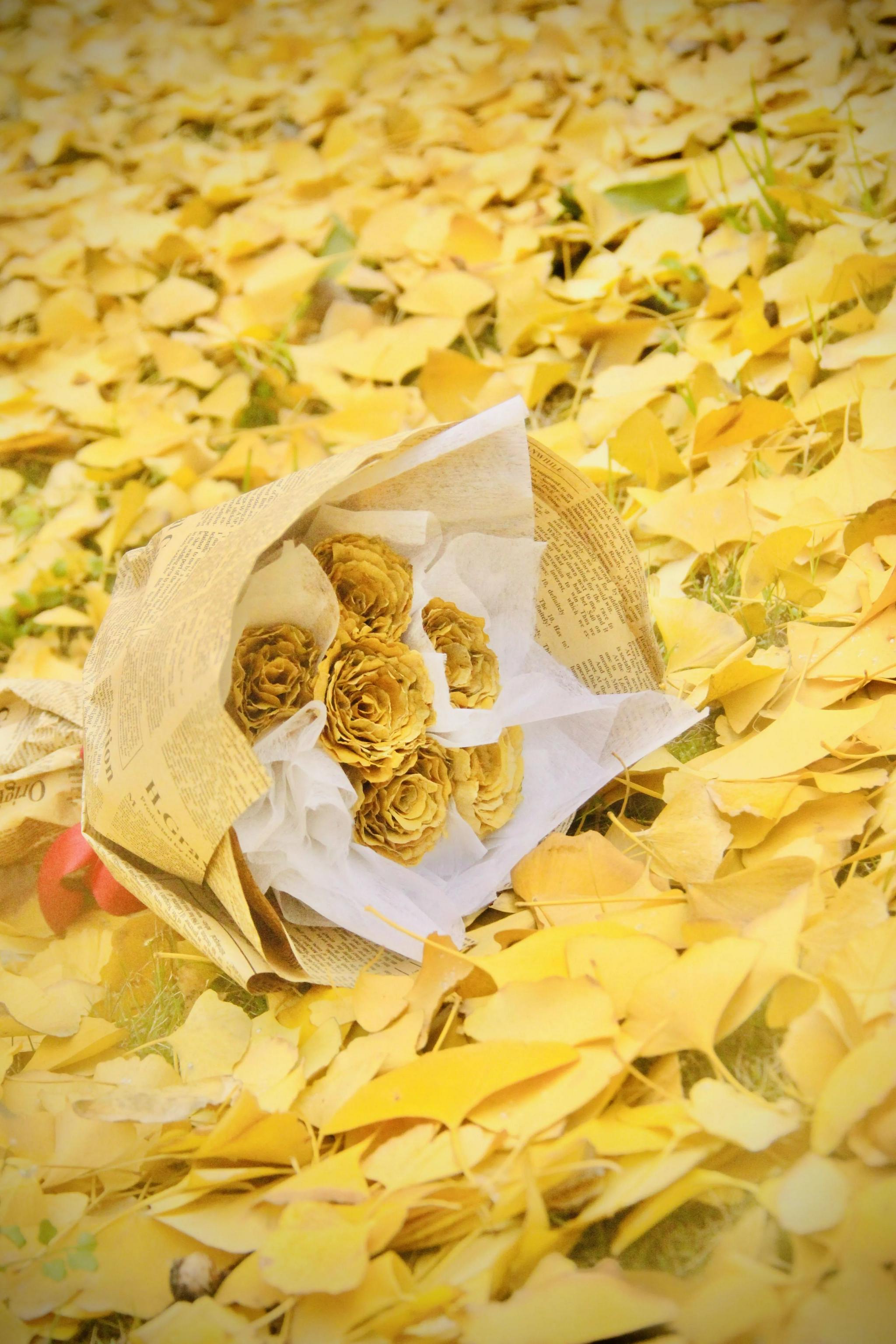 百里挑一等你pick最美的银杏照片