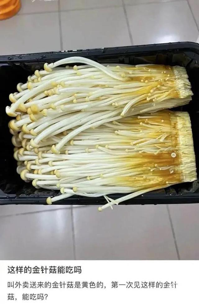 啥平时吃的金针菇其实多是银针菇