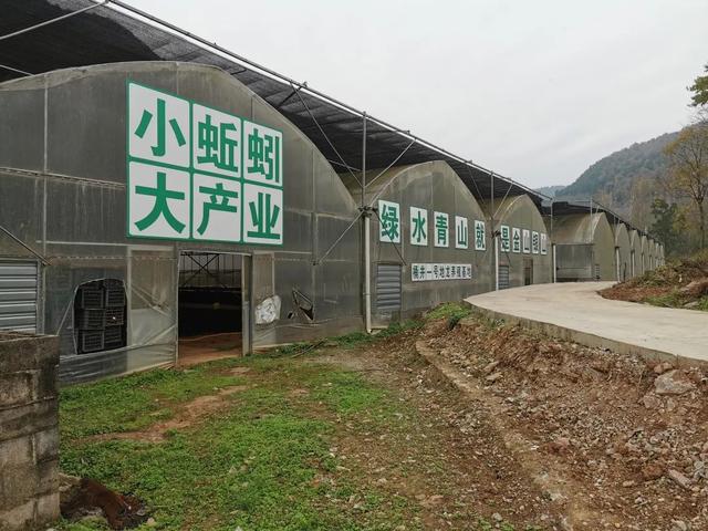 小蚯蚓:产业链 空间大