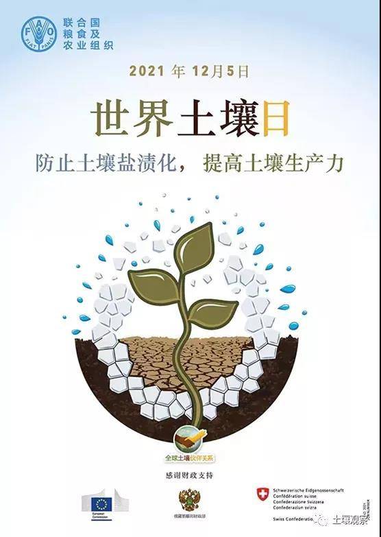 世界土壤日关注土壤盐渍化江苏这个网红地从昔日盐碱地变丰收田