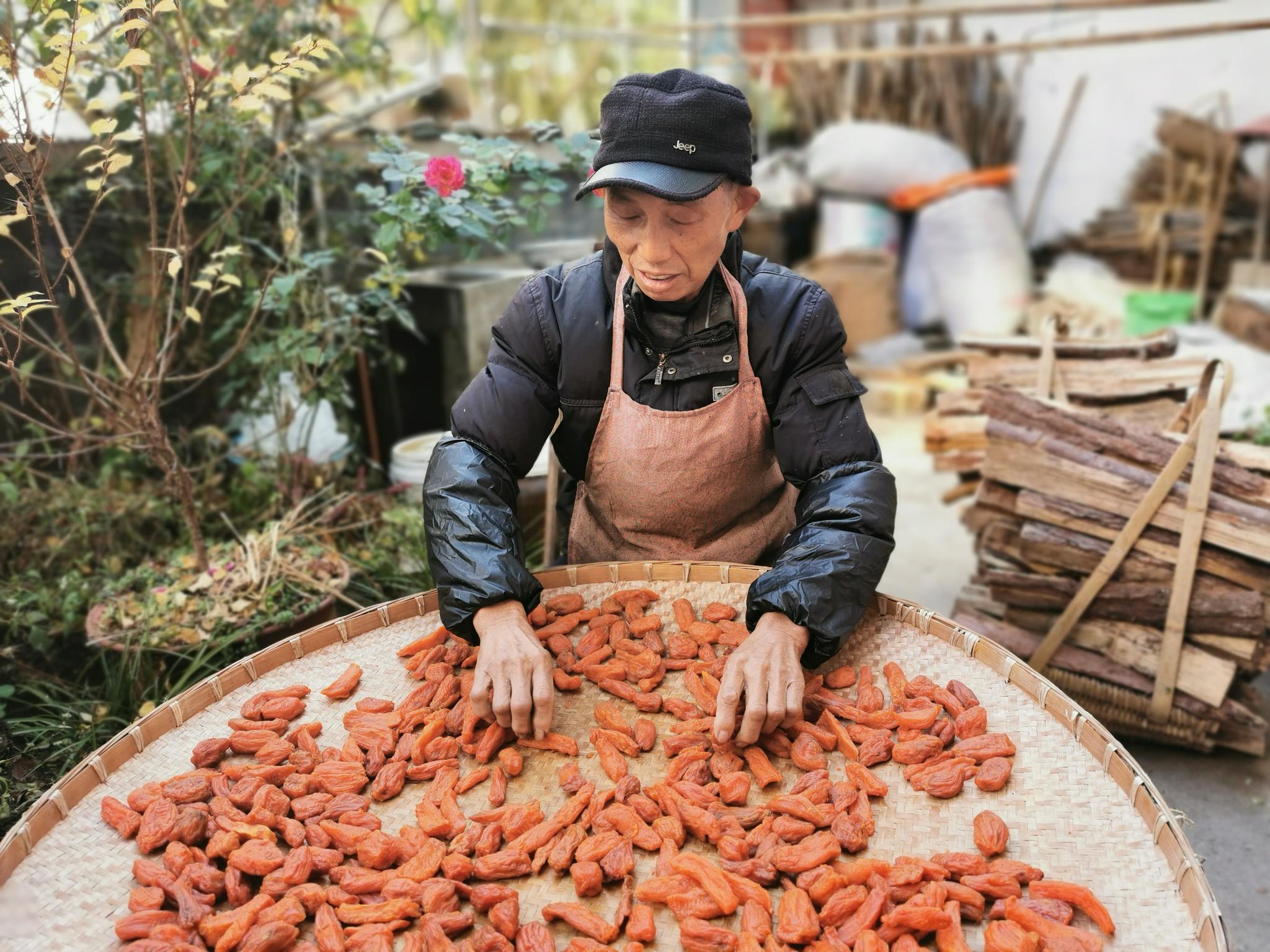 在平均海拔700多米的歙县长陔乡,家家户户院子里都摊放着成堆的山芋