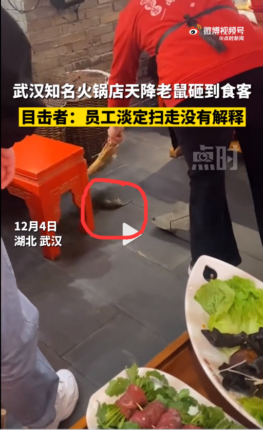 吓懵！知名火锅店天降老鼠砸到食客？目击者称员工淡定扫走并无解释！公司最新回应