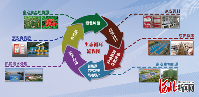 种养结合生态循环模式助力河北安平农业绿色发展