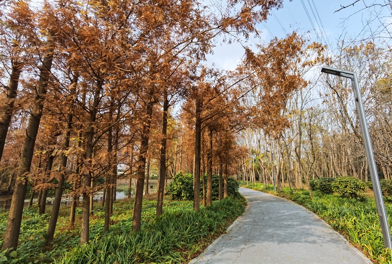 上海部分环城公园设计方案基本确定为这种声音几易其稿