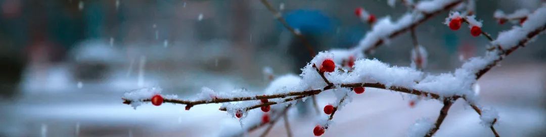 大雪了，你还在嗑过时的CP嘛？