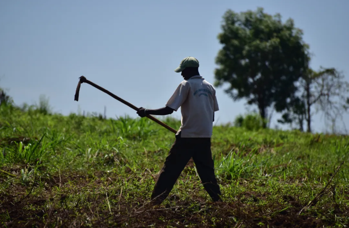 当地农民在耕作.(中国农业大学国际发展与全球农业学院供图)