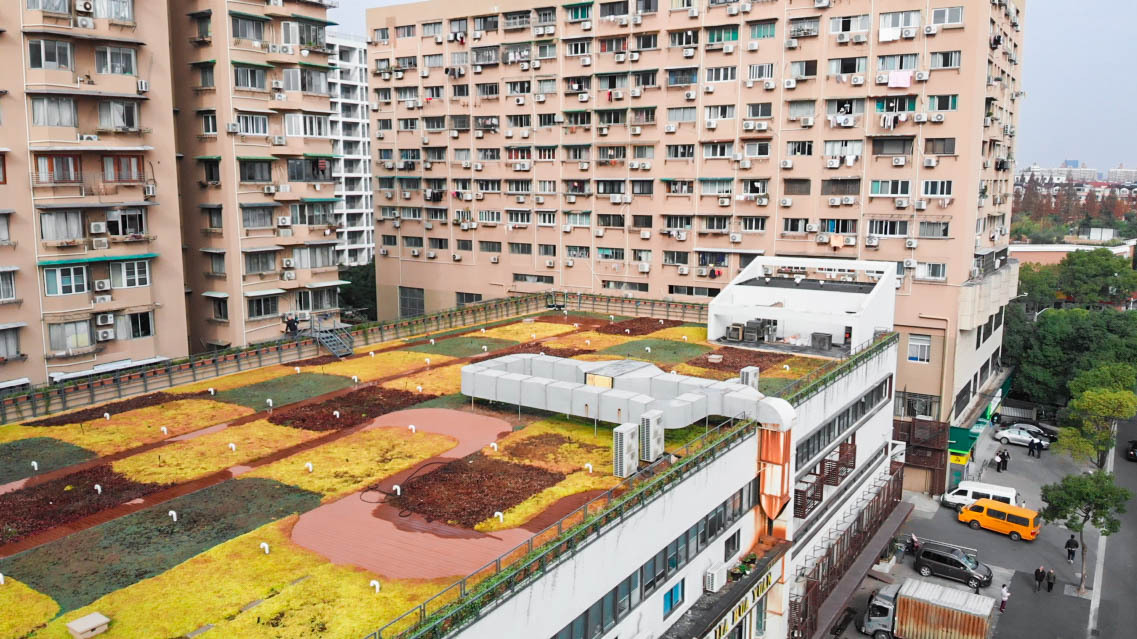 屋顶绿化的建设能给周边环境带来了诸多好处,能美化绿化城市环境面貌