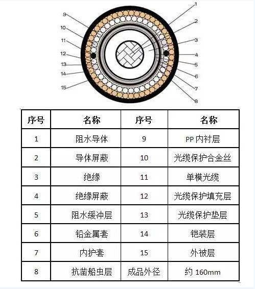 海底电缆的剖面图