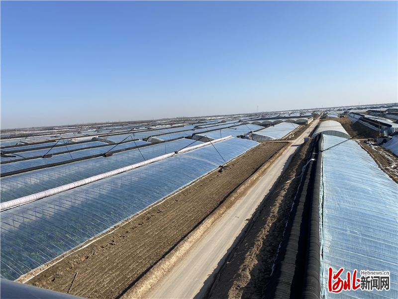 饶阳县大尹村镇设施蔬菜大棚蔚为壮观. &nbsp;王士波摄