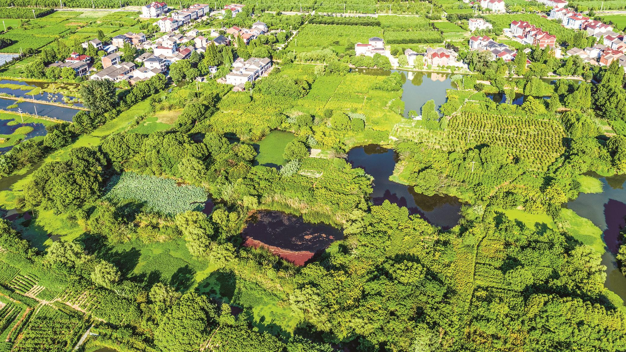 河山镇·桑基鱼塘(约明至中华人民共和国)省级文保单位