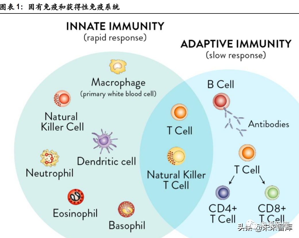 mRNA疫苗行业研究：新冠疫情持续，加强针与高效疫苗需求提升