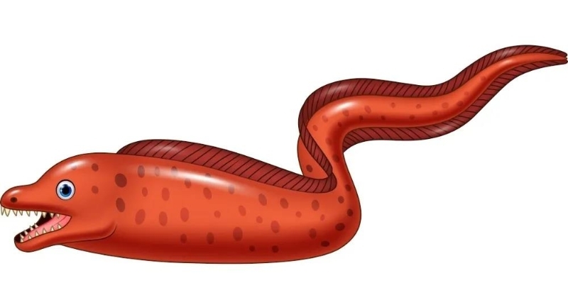 用电鳗的电电电鳗电鳗会不会被电鳗的电电s