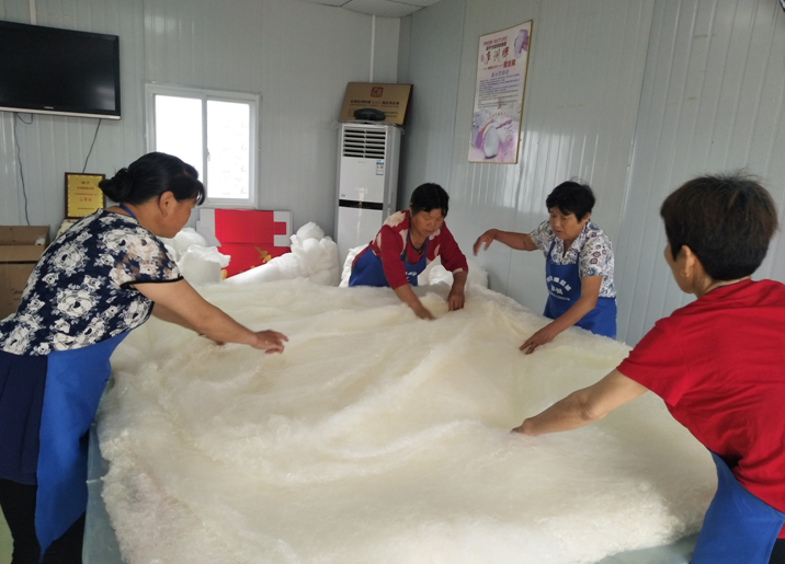 在吉新蚕桑合作社蚕丝被制作车间,工人们正在精心制作