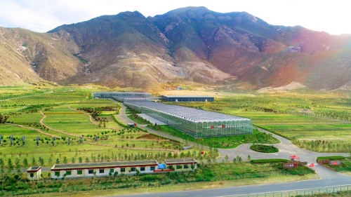 图为蒙草西藏高海拔植物种业研究院