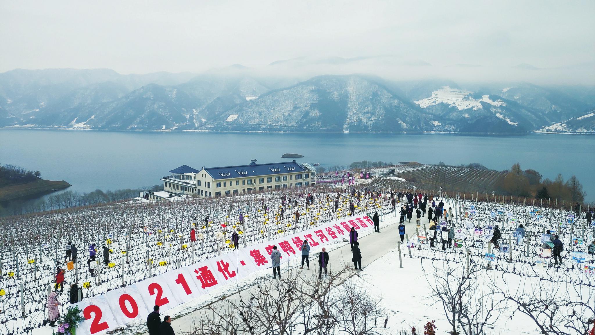 冰葡萄酒排行_2021年洛阳企业百强排行榜:仅洛阳栾川钼业集团有限公司1家企业营...