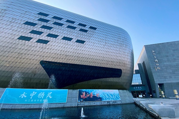 "水中精灵" 长江巡展第一站在芜湖市博物馆正式开幕|芜湖市_新浪财经_