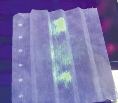 “鸵鸟蛋抗体”口罩在紫外线照射下附着病毒处可发光