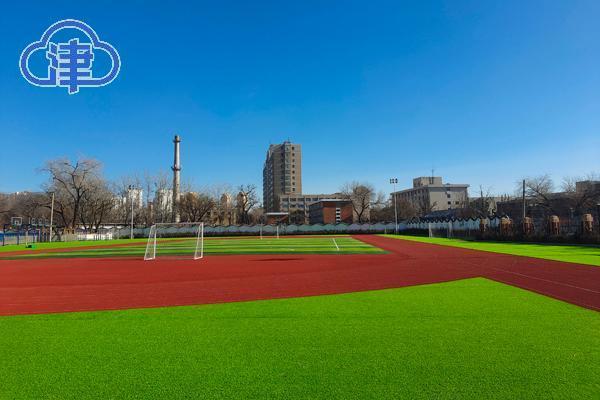 我为群众办实事红桥区教育兴区动真格桃花园小学展新颜