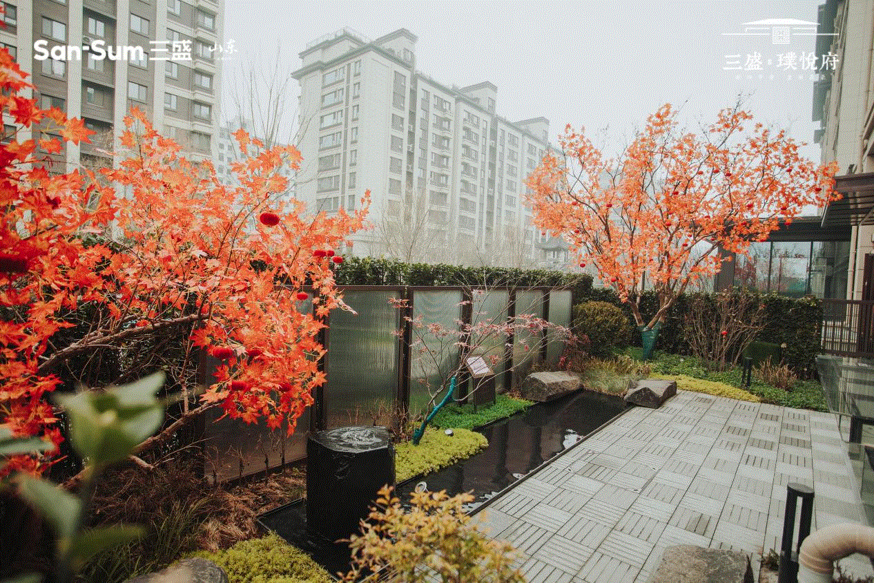 院落生活敬献章丘三盛璞悦府小院实景初绽