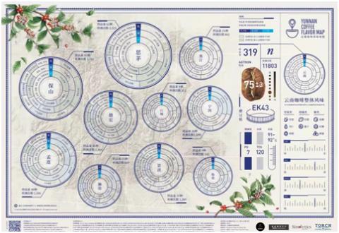 多层面促进产业发展雀巢助力绘制云南咖啡风味地图