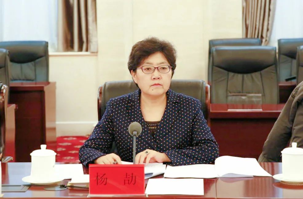 自治区生态环境厅党组书记厅长杨劼深入呼和浩特市调研督导工作