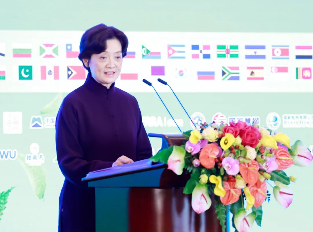 钱韦女士在致辞中感谢各国驻华使馆,国际组织代表机构和各界爱心人士