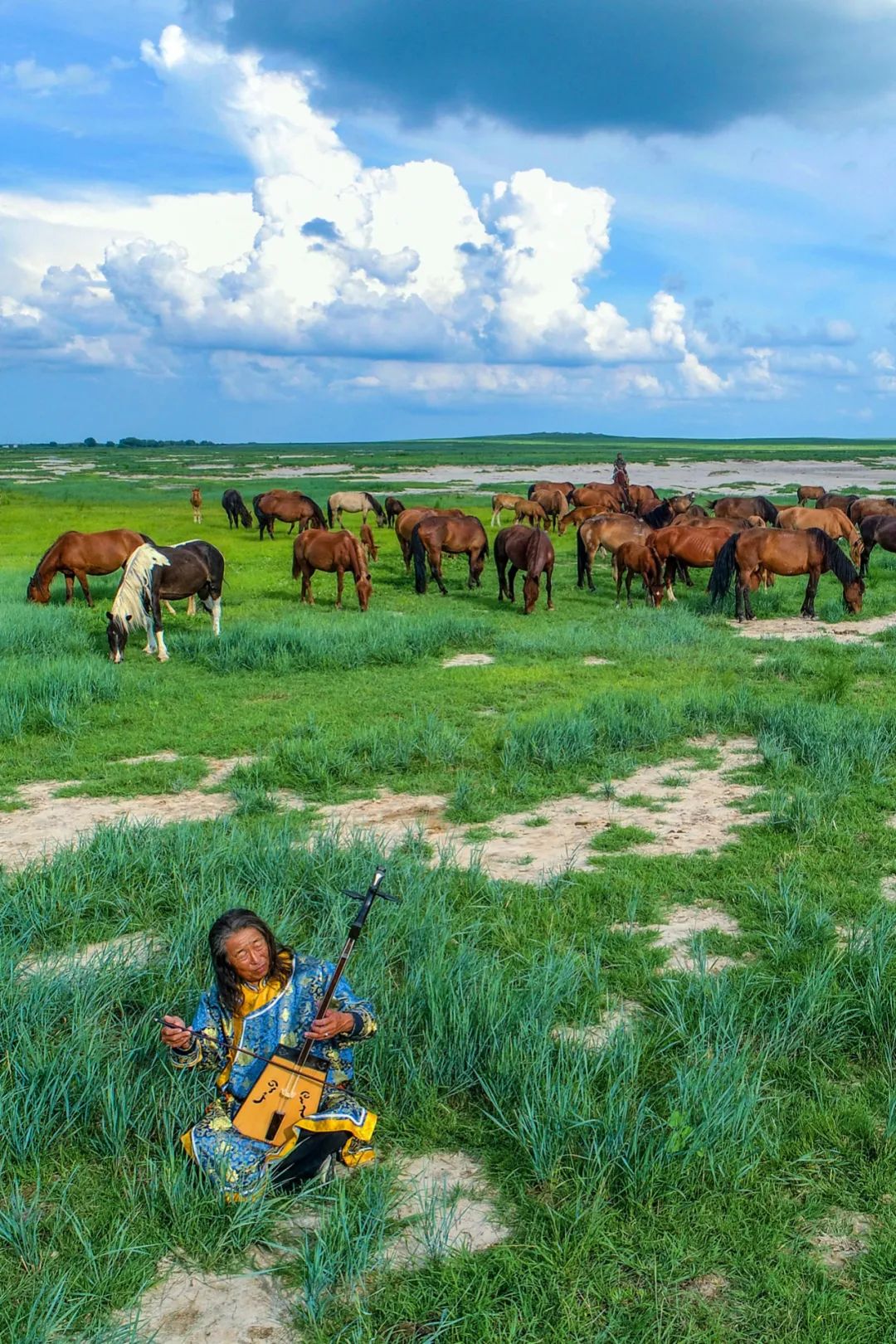 草原上的蒙古人图片图片