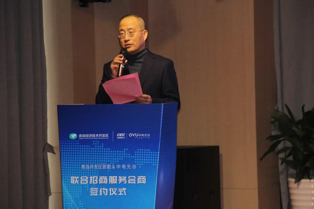 中电光谷集团副总裁王元成讲话