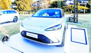 首战失利 极狐“上攻”