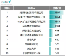 OPPO专利授权量在G06和H04两个大类位列第二