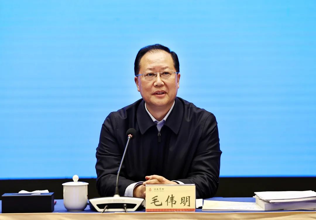 湖南省低空空域管理改革试点推进会举行王伟毛伟明出席并讲话