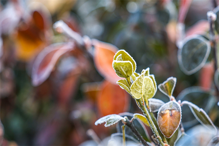 镜头|冬至大如年