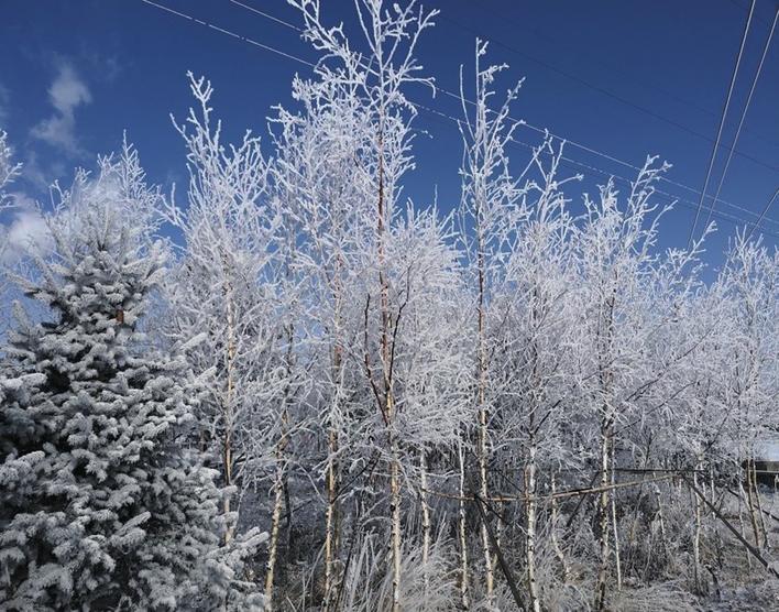 威利梦游仙境_威利梦游仙境最新消息,新闻,图片,视频_聚合阅读_新浪网
