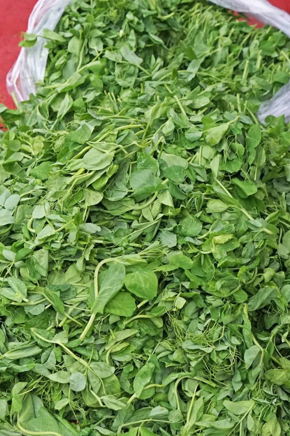 在成都赶了三次场我的钱包和格局都被打开了