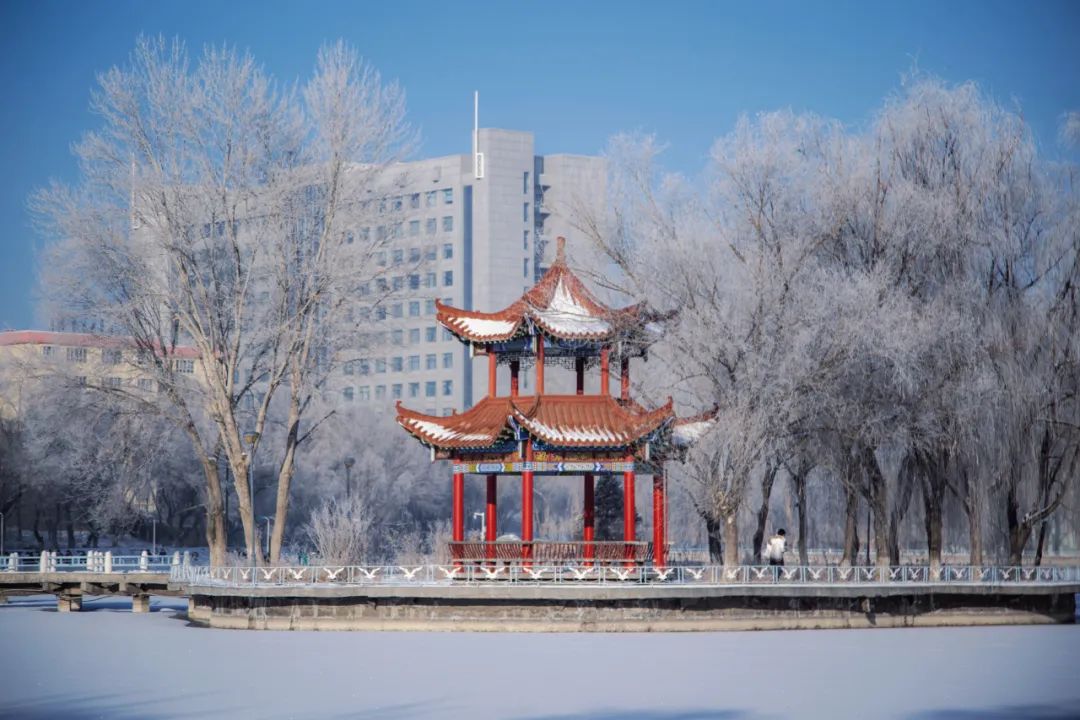 新的一天又开始啦晨光映照的红湖见光即化的雾凇银光闪烁的新大清晨