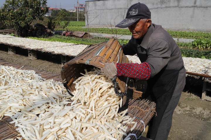 这一口朴素美味是很多人的念念不忘萧山萝卜干晾晒季节到了