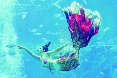 中国美人鱼表演赛三亚开赛