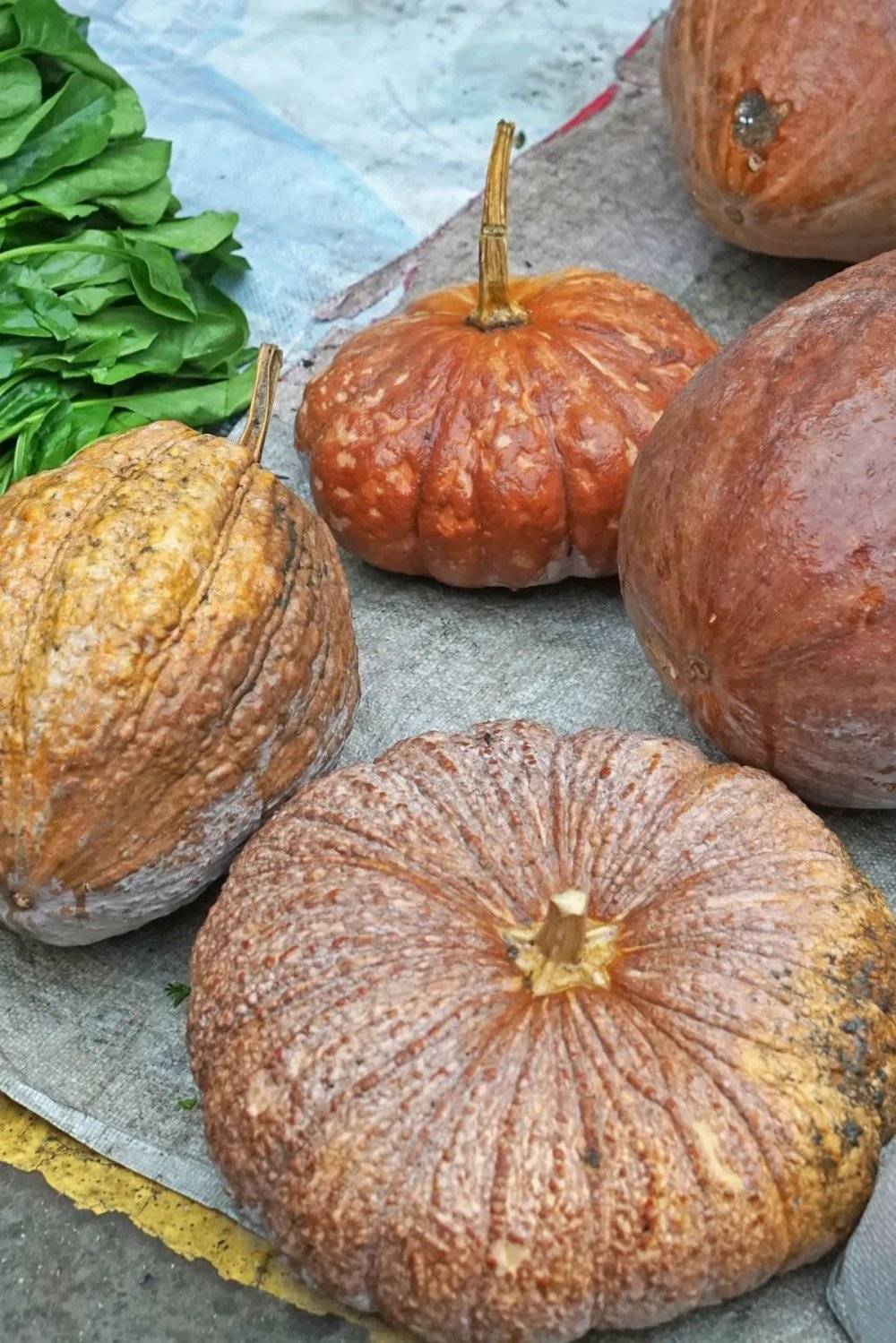 在成都赶了三次场我的钱包和格局都被打开了