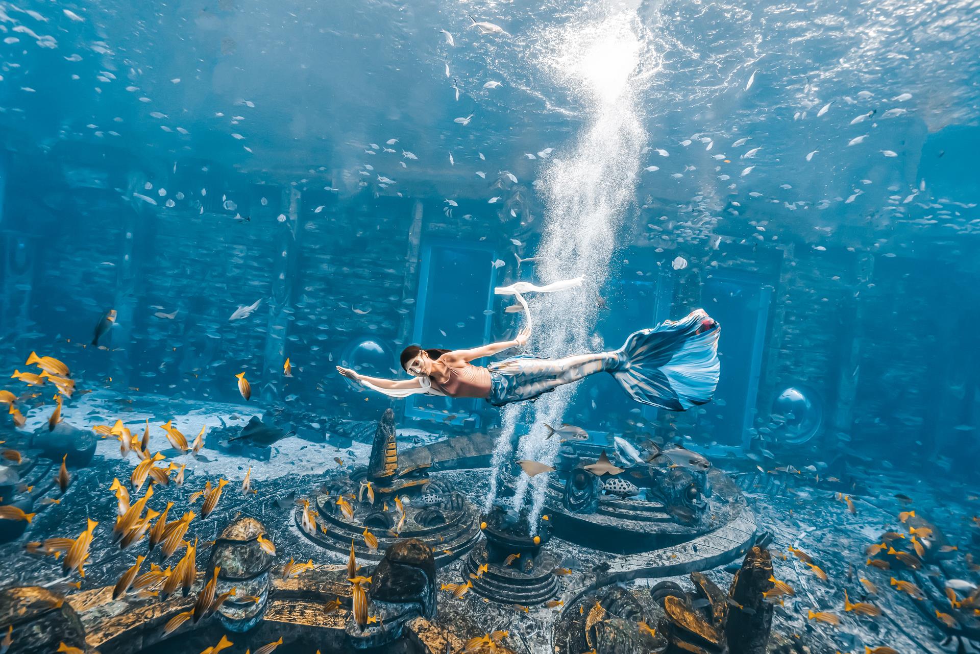 惊艳首届中国美人鱼表演赛举行决赛