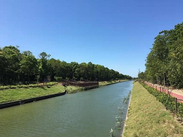 从脏乱差齐聚到首批乡村振兴示范村宝山这个村有啥秘诀