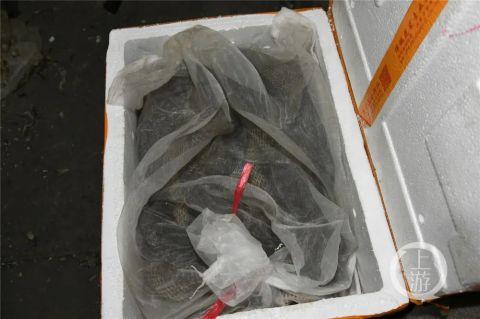 上海捣毁26处秘密野味仓储、加工窝点